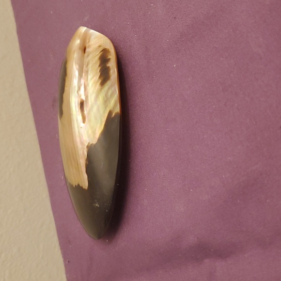 Unique Shell Buckle - Picture 3 of 3